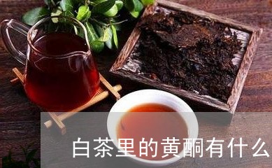 白茶里的黄酮有什么作用/2023110107150