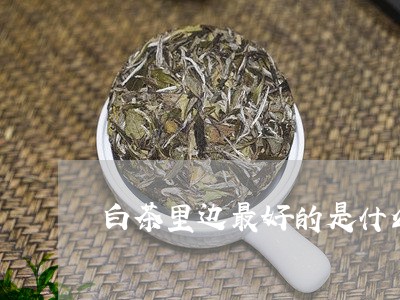 白茶里边最好的是什么茶叶/2023110768140