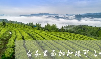 白茶里面加柠檬可以喝吗/2023103182625