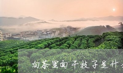 白茶里面干枝子是什么情况/2023110702917