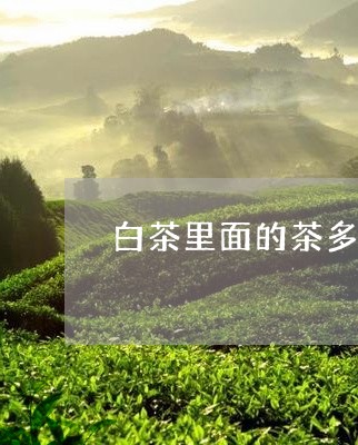 白茶里面的茶多酚含量是多少/2023111423936