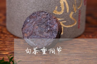 白茶重阳节/2023051029494