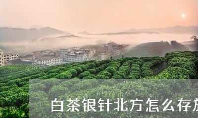 白茶银针北方怎么存放的/2023103114261