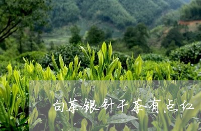 白茶银针干茶有点红/2023082680301