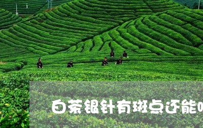 白茶银针有斑点还能喝吗/2023111517158