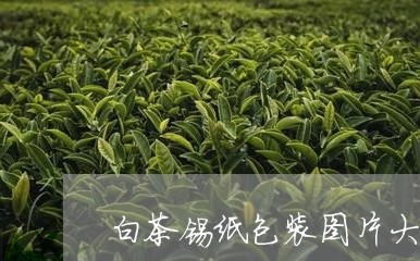 白茶锡纸包装图片大全大图/2023110786928