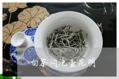 白茶闷泡壶昆明/2023073082736