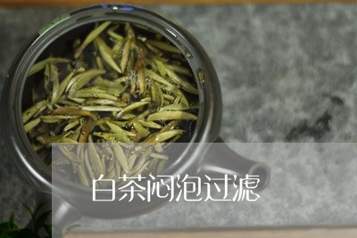 白茶闷泡过滤/2023073063835