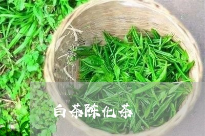 白茶陈化茶/2023051084827