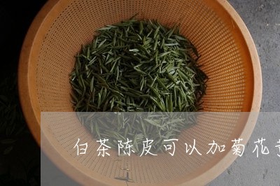 白茶陈皮可以加菊花黄芪吗/2023110737270