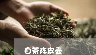 白茶陈皮壶/2023063018480