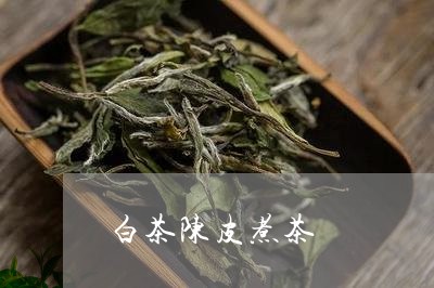 白茶陈皮煮茶/2023052176049