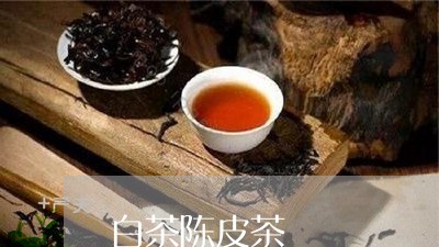 白茶陈皮茶/2023051074269