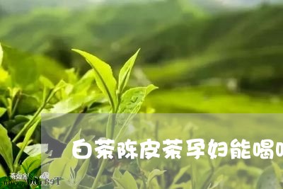 白茶陈皮茶孕妇能喝吗早期/2023110785839