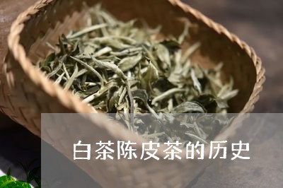 白茶陈皮茶的历史/2023063047462