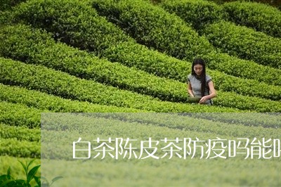 白茶陈皮茶防疫吗能喝吗/2023082516137