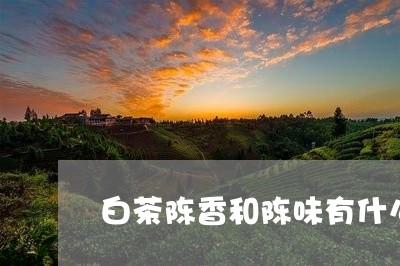 白茶陈香和陈味有什么区别/2023073061484