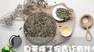 白茶除了安吉还有什么/2023100770794