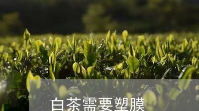 白茶需要塑膜/2023052216958