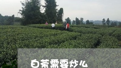 白茶需要炒么/2023052278171