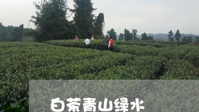 白茶青山绿水/2023052214159