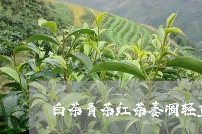 白茶青茶红茶萎凋轻重/2023100733936