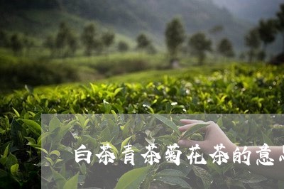 白茶青茶菊花茶的意思/2023100773627