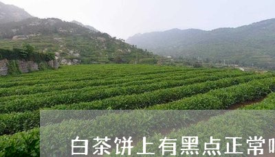 白茶饼上有黑点正常吗/2023100747361