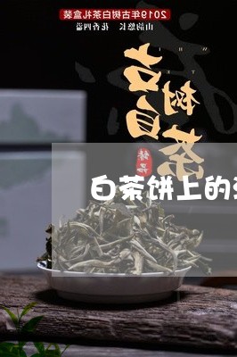 白茶饼上的油怎么去掉/2023100770693