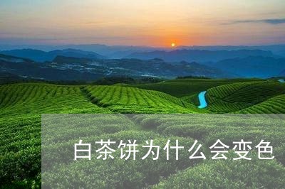 白茶饼为什么会变色/2023082425250