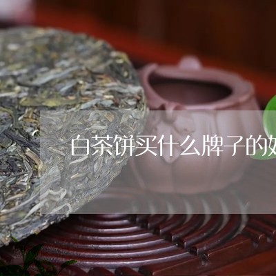 白茶饼买什么牌子的好呢/2023110127417