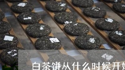 白茶饼从什么时候开始/2023100759470