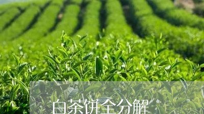 白茶饼全分解/2023052294915