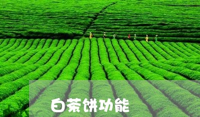 白茶饼功能/2023051043915