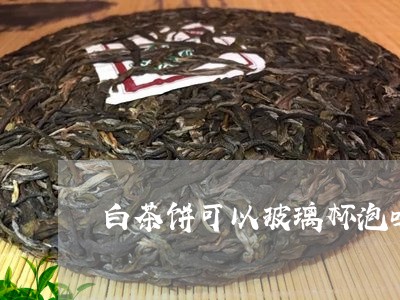 白茶饼可以玻璃杯泡吗/2023100711501