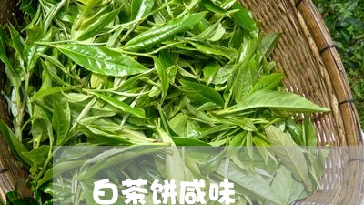 白茶饼咸味/2023082524827