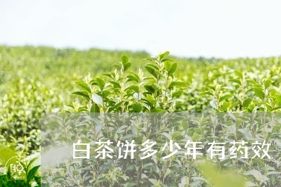 白茶饼多少年有药效/2023082437947