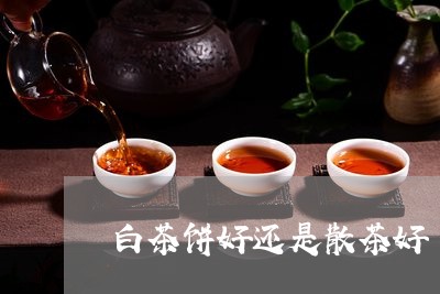 白茶饼好还是散茶好/2023082408359