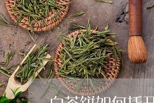 白茶饼如何撬开如何分茶/2023110129603