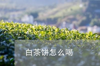 白茶饼怎么喝/2023052278502