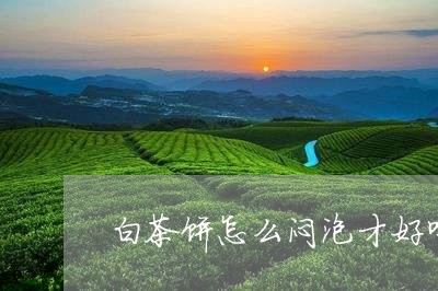 白茶饼怎么闷泡才好喝/2023111592703