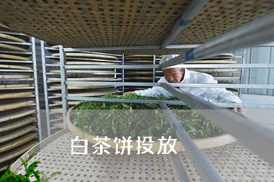 白茶饼投放/2023051091795