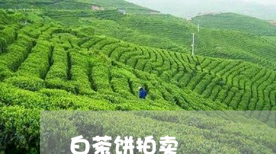 白茶饼拍卖/2023051050693