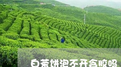 白茶饼泡不开含胶吗/2023082444037