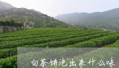 白茶饼泡出来什么味/2023082420635