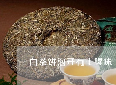 白茶饼泡开有土腥味/2023082451381