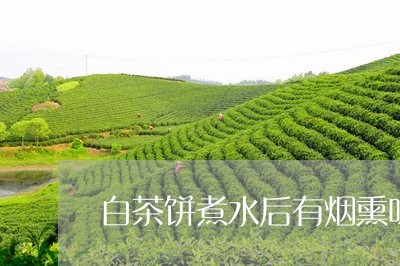 白茶饼煮水后有烟熏味/2023100797151