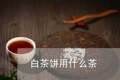 白茶饼用什么茶/2023082441937