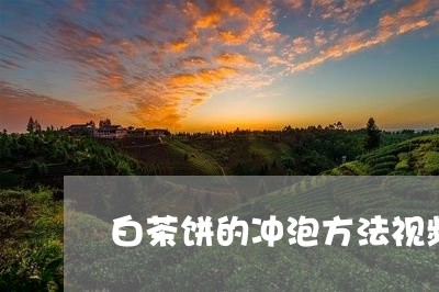 白茶饼的冲泡方法视频/2023100730835