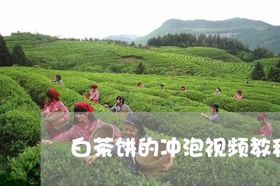 白茶饼的冲泡视频教程大全/2023110828582